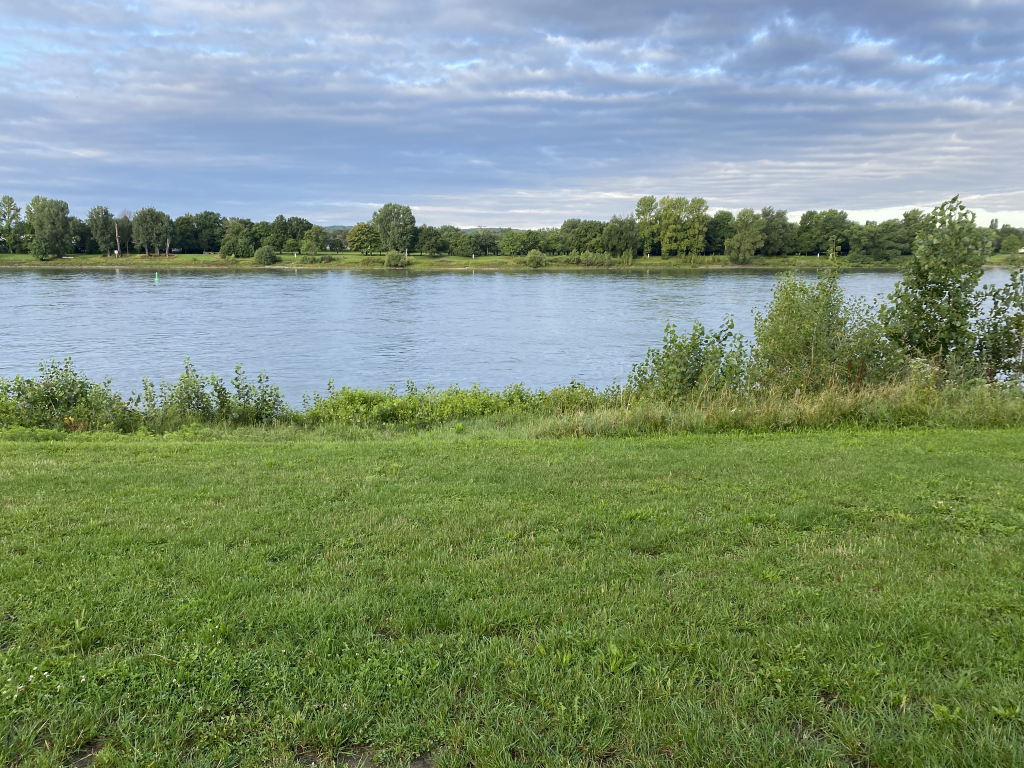 2023-08-01 Rhein 0020 k.JPG